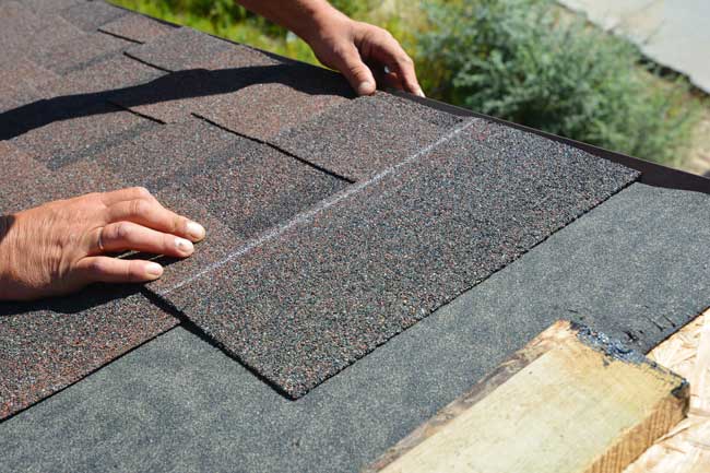 Expert Roofing Services